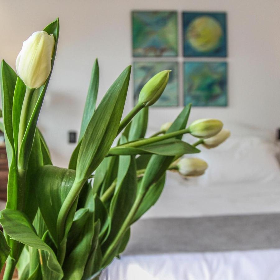 La Locanda Del Pontefice - Luxury Country House Marino Esterno foto